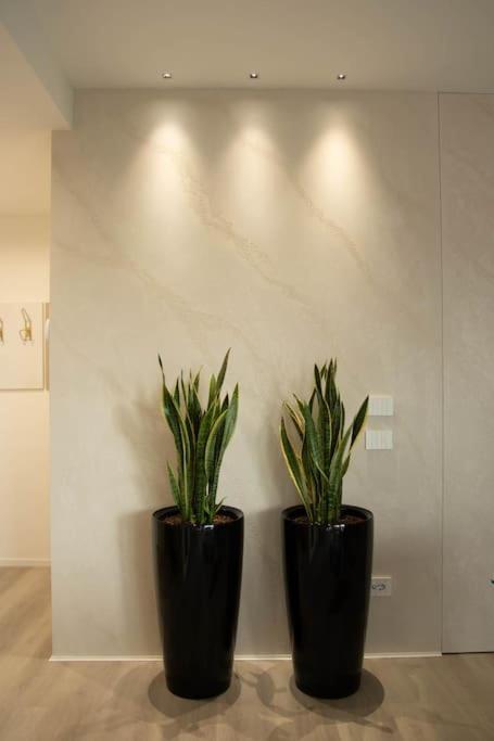 Atelier Verona Exteriör bild